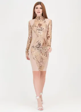 Sheer Curves Sequined Mesh Dress